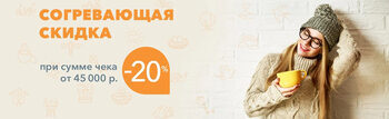 Скидка 20% при заказе от 45 000 руб.