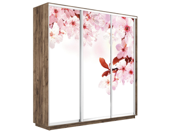 Шкаф-купе Экспресс Люкс 3-х дверный (Фото №1023 Сакура)