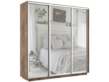 Шкаф-купе Экспресс Люкс 3-х дверный (Зеркало)