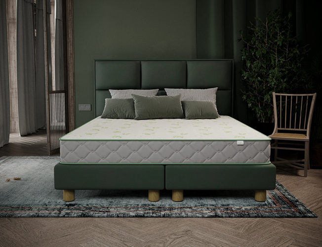 Матрас Dröm Eco